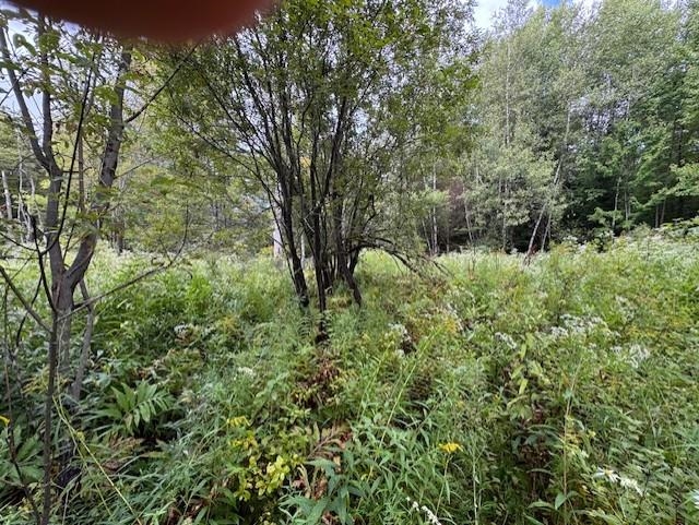 0 Creamery Bridge Road Enosburg Falls, VT 05450 - Photo 4 of 7