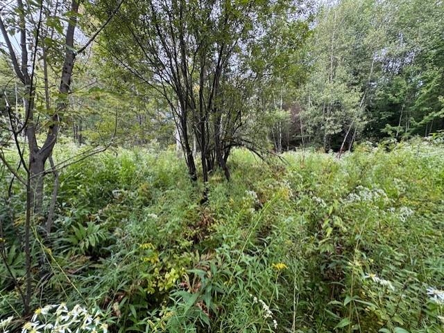 0 Creamery Bridge Road Enosburg Falls, VT 05450 - Photo 5 of 7