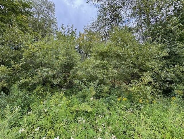 0 Creamery Bridge Road Enosburg Falls, VT 05450 - Photo 6 of 7