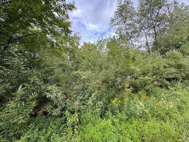 0 Creamery Bridge Road Enosburg Falls, VT 05450 - Photo 7 of 7