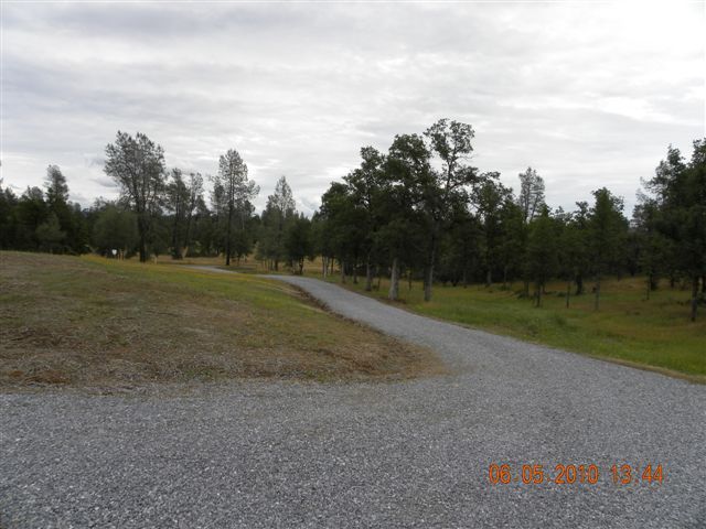 12280 Intermountain Road Redding, CA 96003 - Photo 42 of 45 a view of a field with grass and trees