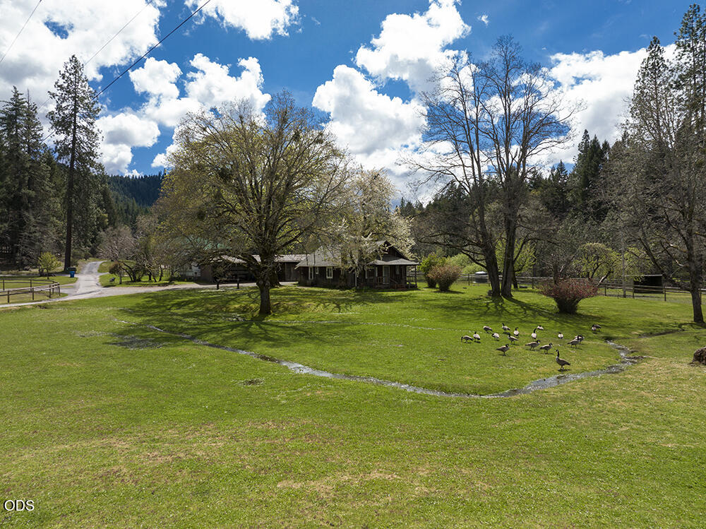 910 Reeves Creek Road Selma, OR 97538 - Photo 26 of 73