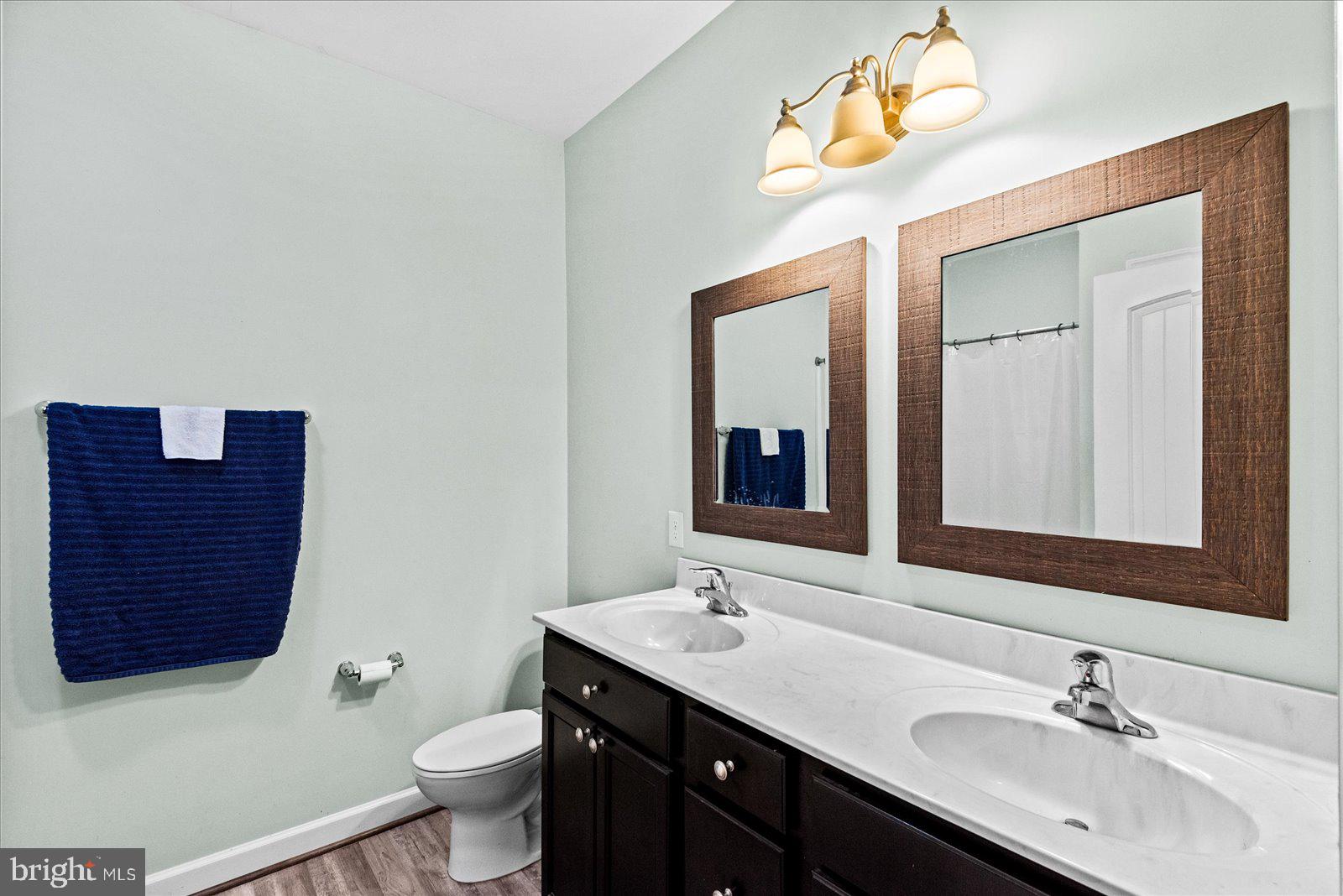 88 Brooks Drive Colonial Beach, VA 22443 - Photo 18 of 36 a bathroom with a sink vanity and a toilet