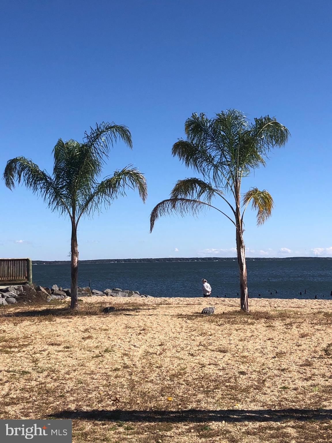 88 Brooks Drive Colonial Beach, VA 22443 - Photo 33 of 36 a view of ocean with a palm tree