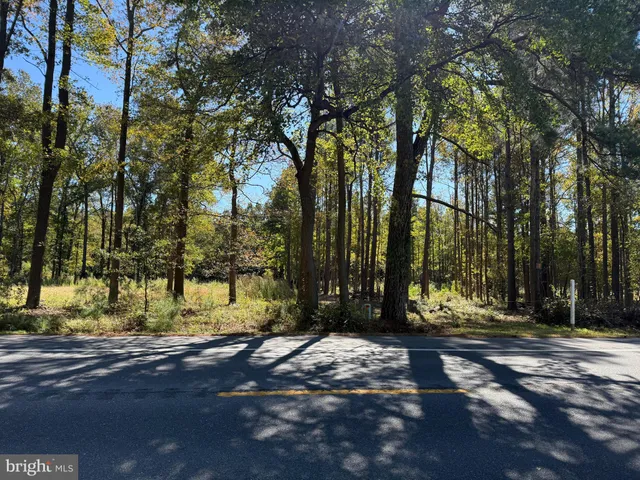 a view of street view