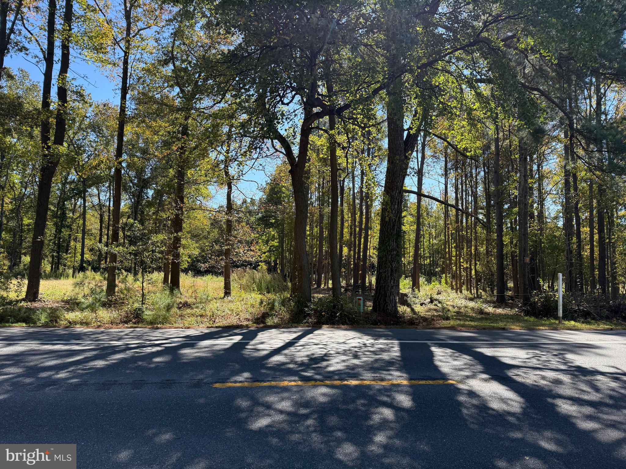 0 Laurel Road Millsboro, DE 19966 - Photo 1 of 3 a view of street view