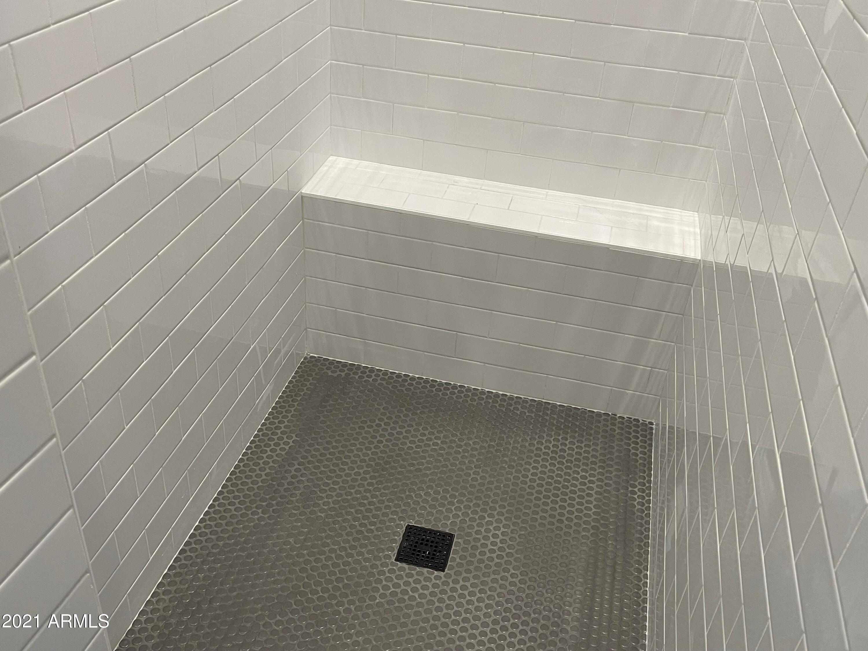 513 West Cloud Road Phoenix, AZ 85086 - Photo 15 of 17 Primary Shower
