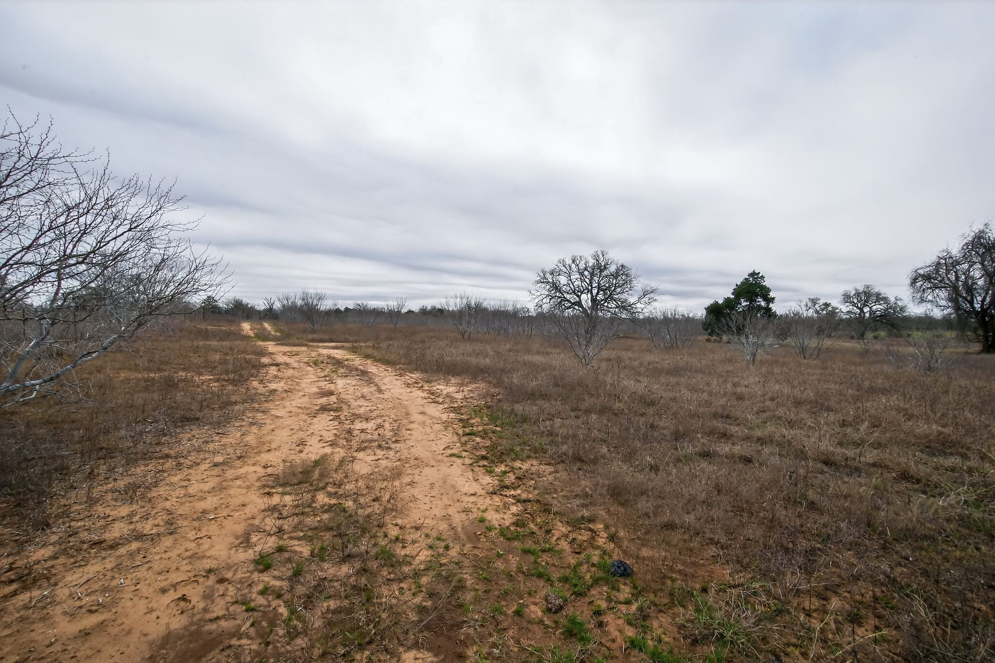 701 Old Colony Line Road Dale, TX 78616 - Photo 5 of 16 a view of a lake with houses in the back