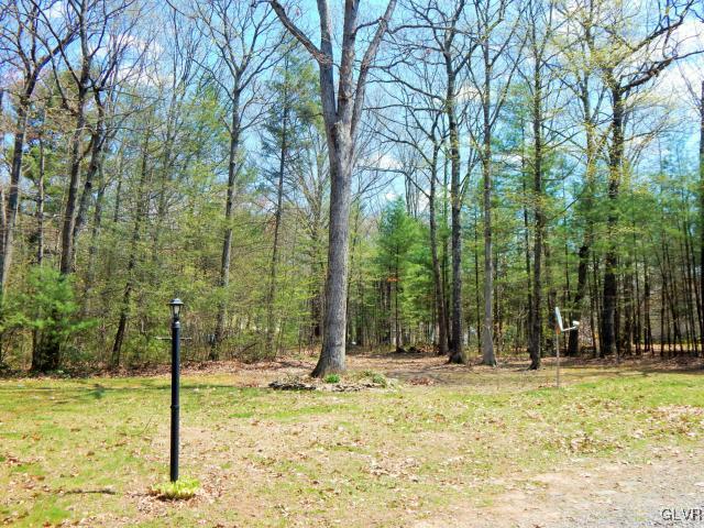 151 Comanche Pines Road Effort, PA 18330 - Photo 36 of 42