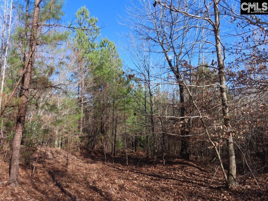 637 Cook Road Ridgeway, SC 29130 - Photo 45 of 51