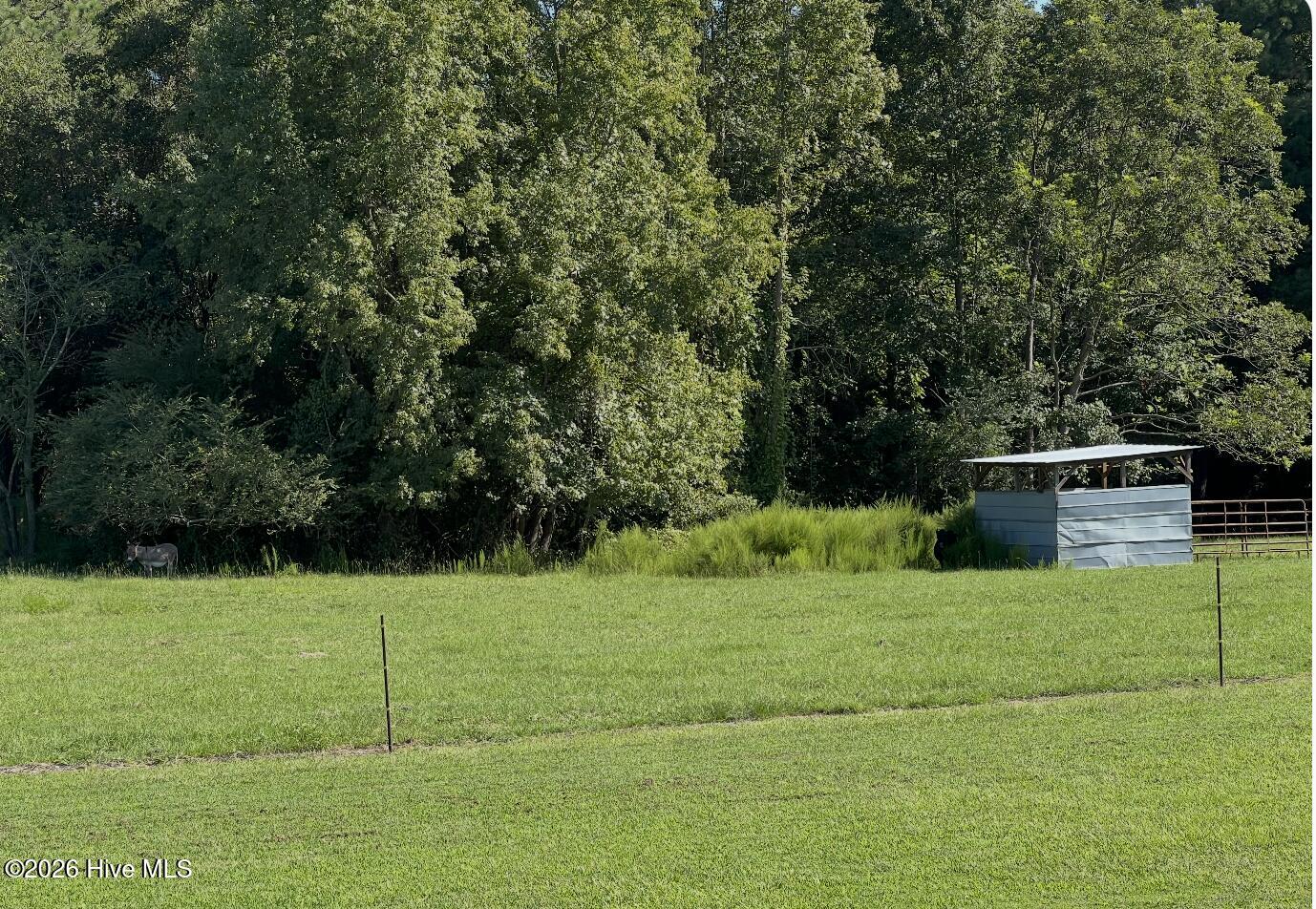 642 Enoch Road Clinton, NC 28328 - Photo 21 of 72 Pasture