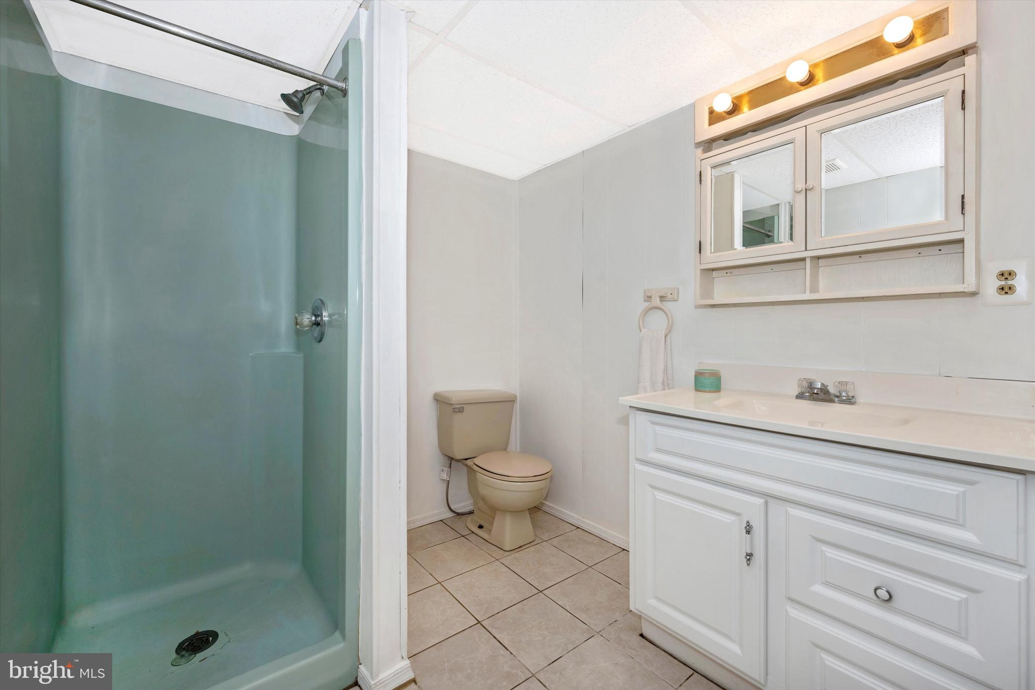 4603 Ridge Road Mount Airy, MD 21771 - Photo 22 of 32 Lower Level Full Bath