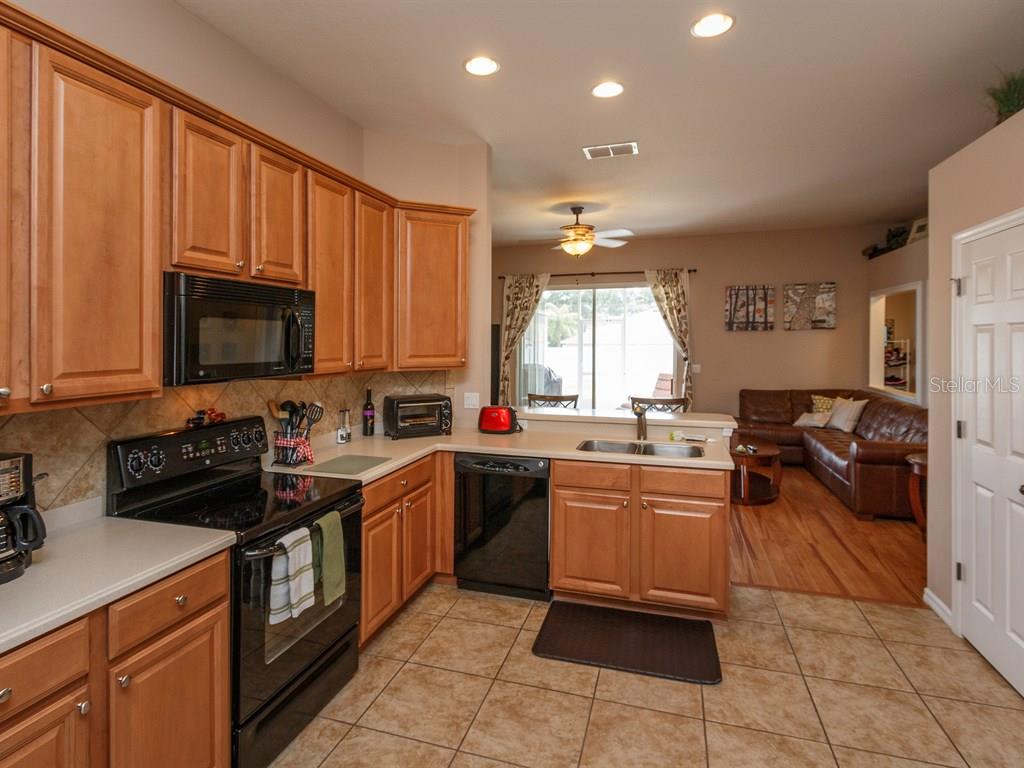 5477 Rishley Run Way Mount Dora, FL 32757 - Photo 8 of 25 a kitchen with a sink a stove and cabinets