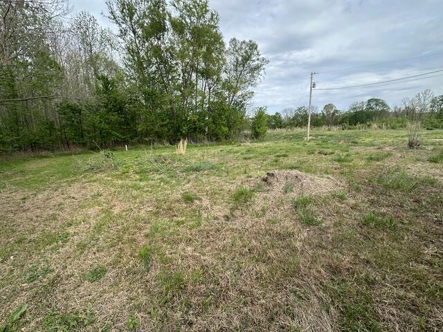 7740 Old Mayfield Road Paducah, KY 42003 - Photo 34 of 34 IMG_1975