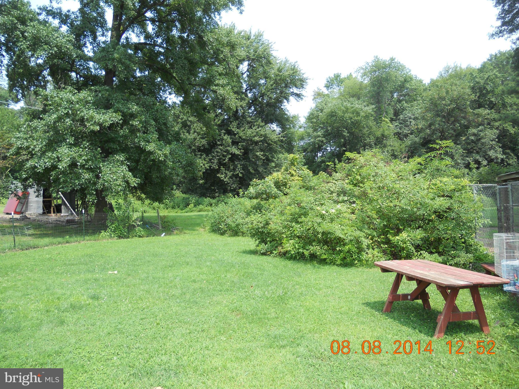 12665 Hog Ridgely, MD 21660 - Photo 12 of 16 beautiful grounds surround the dwelling