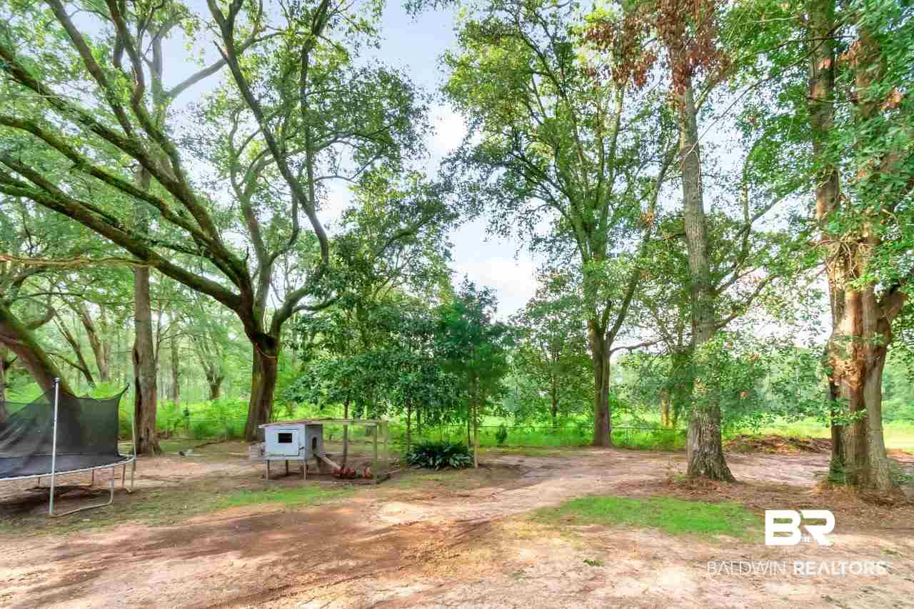 13722 Laco Cooper Road Wilmer, AL 36587 - Photo 23 of 25