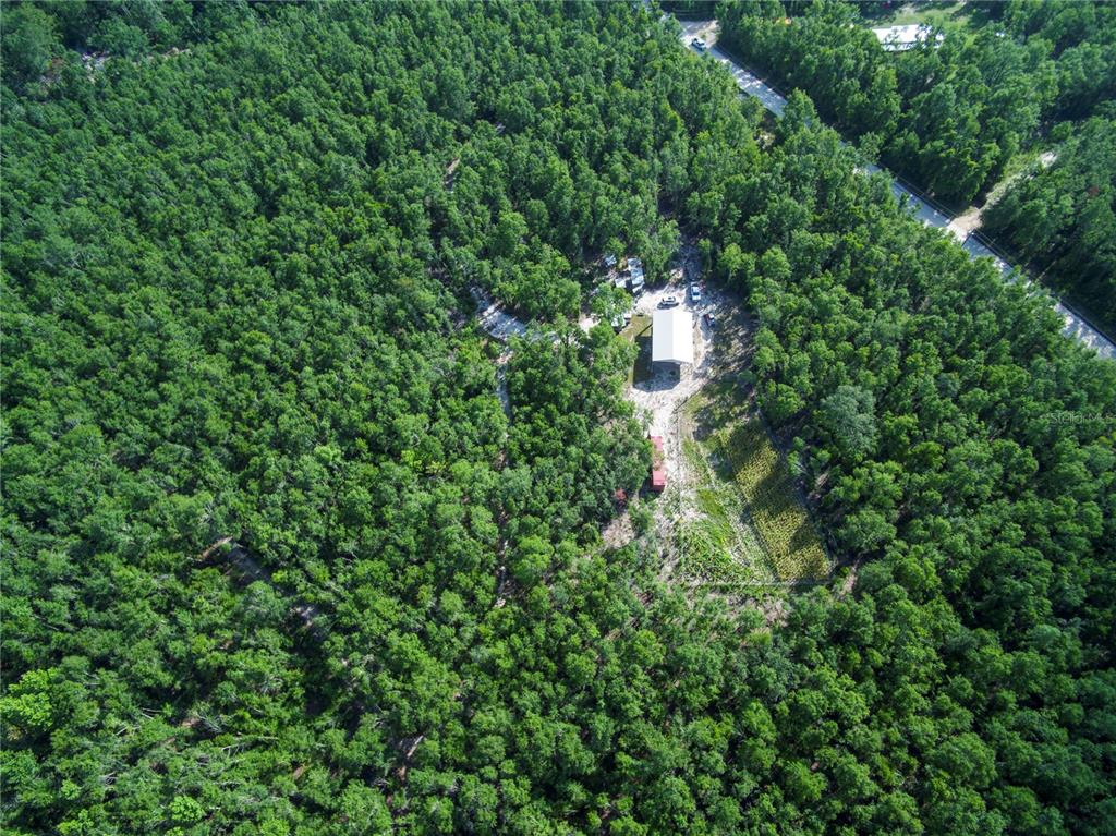 18233 185th Road Live Oak, FL 32060 - Photo 51 of 99 an aerial view of residential house with outdoor space and trees all around