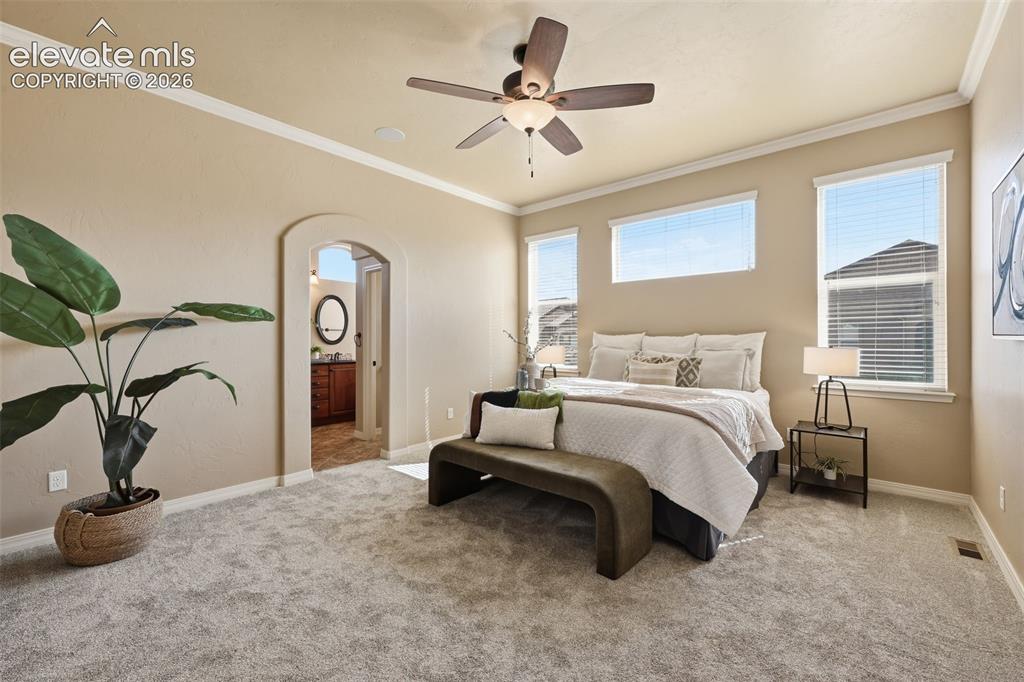 13184 Cake Bread Heights Colorado Springs, CO 80921 - Photo 20 of 47 Oversized master bedroom with large windows