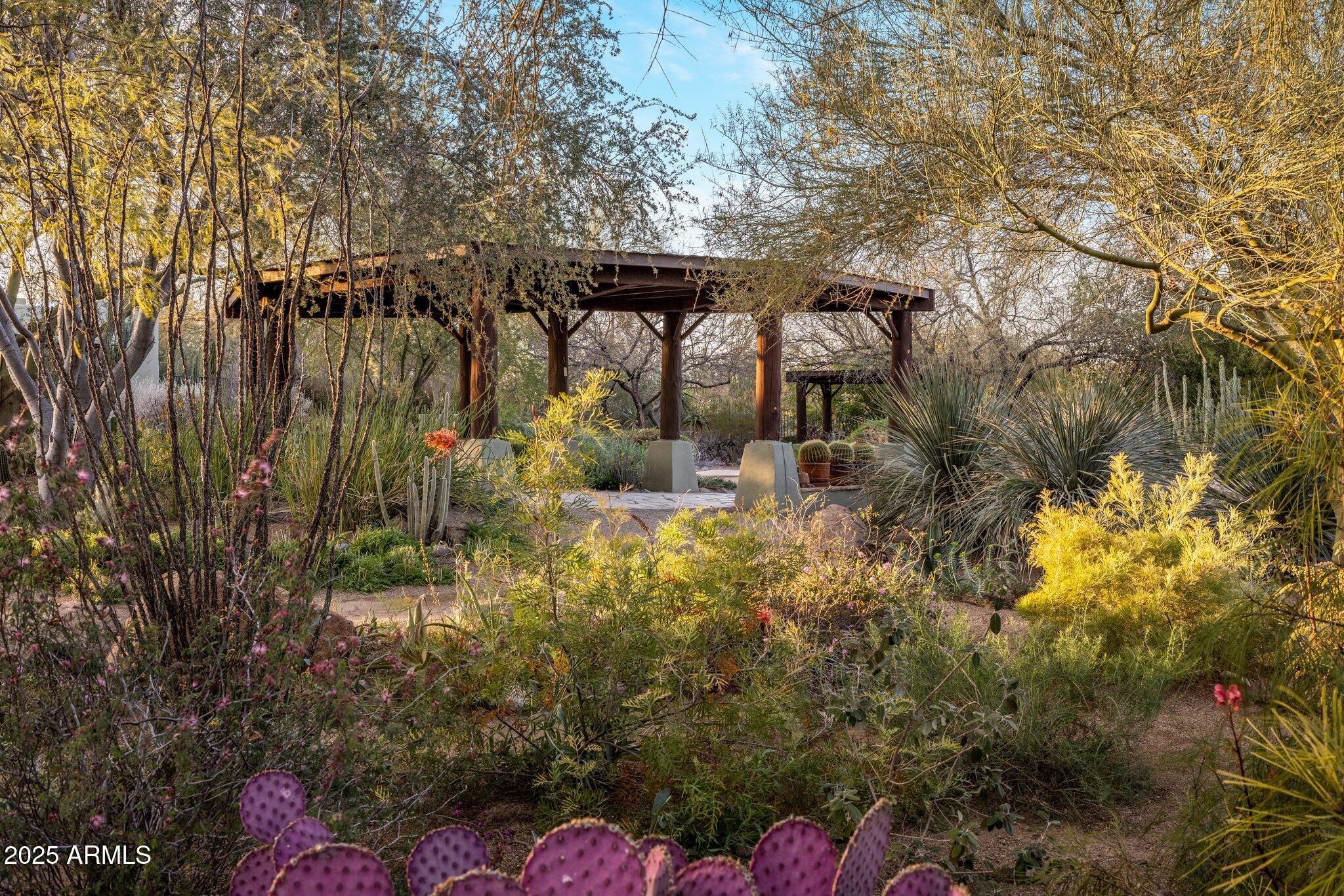 25002 North Quail Haven Drive Rio Verde, AZ 85263 - Photo 52 of 71 East Garden