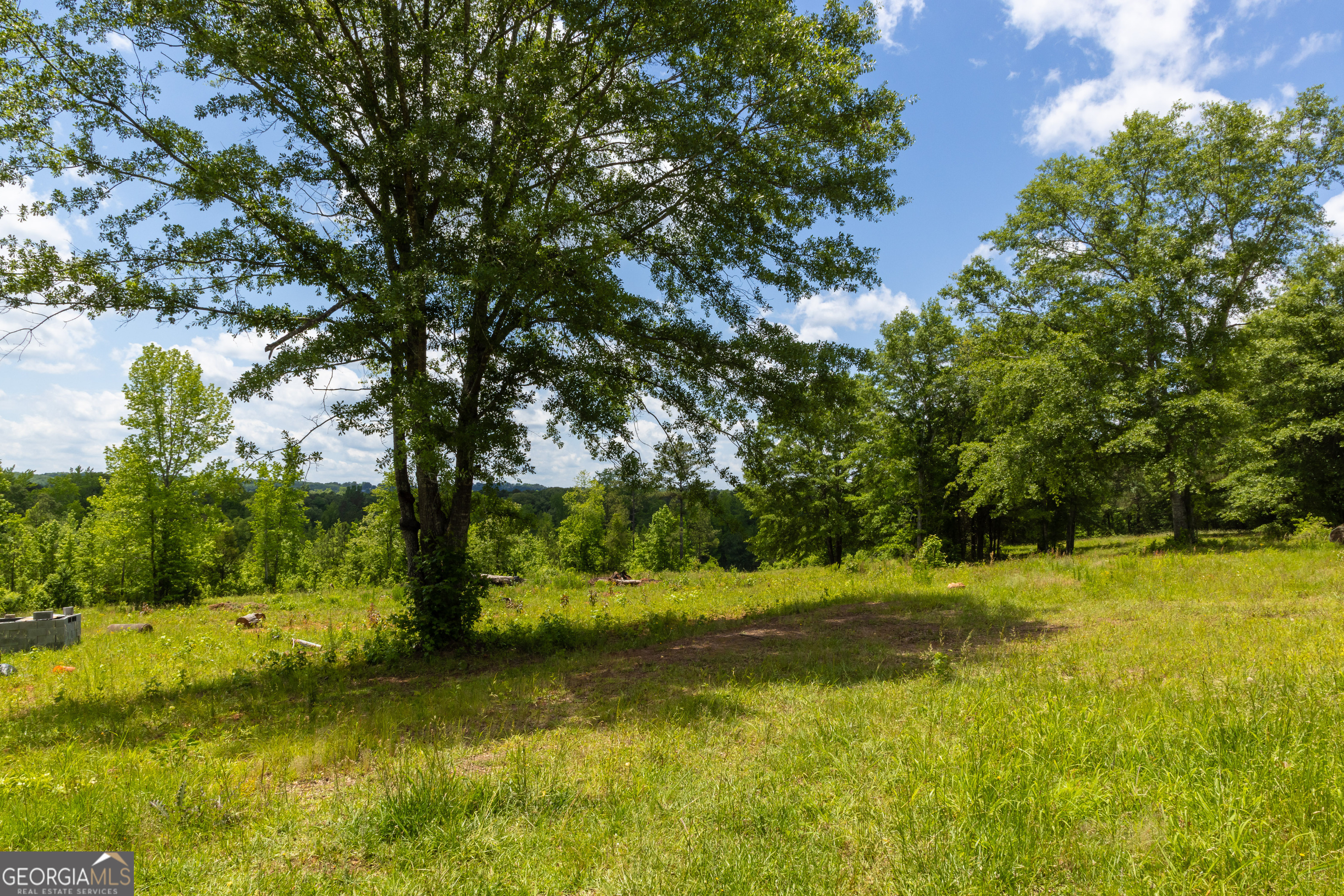 655 White Road Thomaston, GA 30286 - Photo 13 of 41