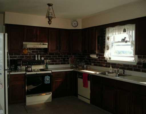 16225 Farnsworth Road Stockbridge, MI 49285 - Photo 3 of 8 Photo 3