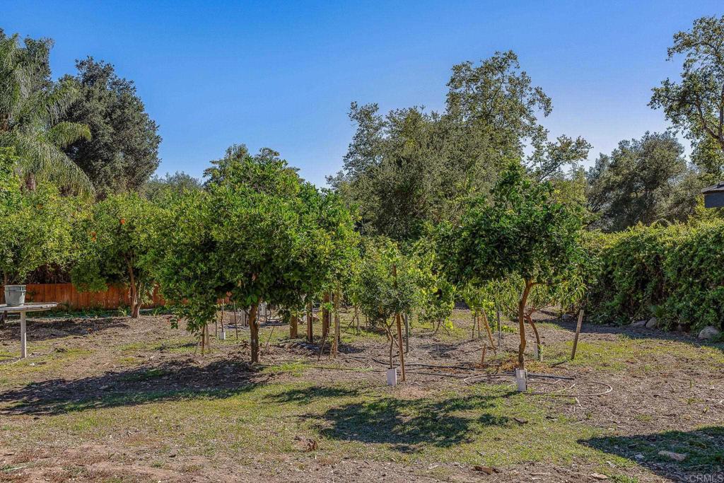 16338 Swartz Canyon Road Ramona, CA 92065 - Photo 52 of 74