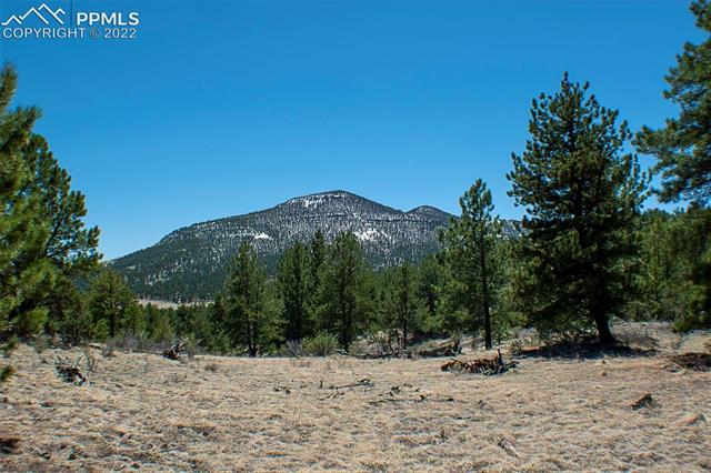 441 Wagonwheel Road Guffey, CO 80820 - Photo 22 of 36 Gallery Image 22