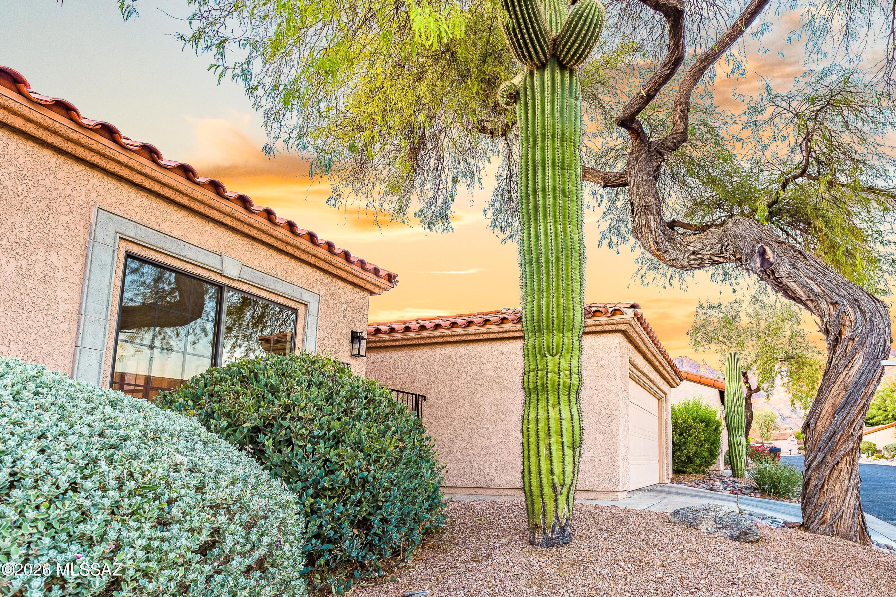 5825 North Misty Ridge Drive Tucson, AZ 85718 - Photo 5 of 39