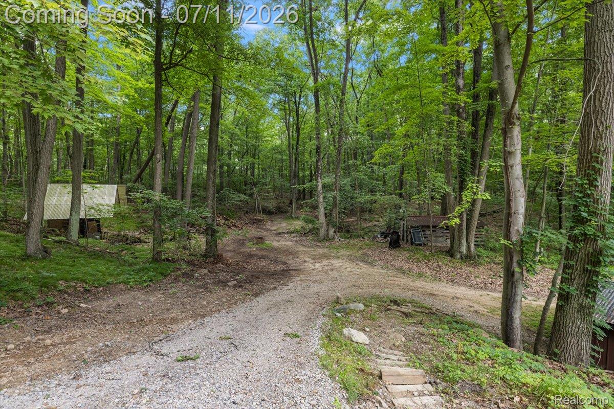 4219 Gardner Road Metamora, MI 48455 - Photo 78 of 87 Gravel driveway winding through a heavily wooded landscape with mature trees
