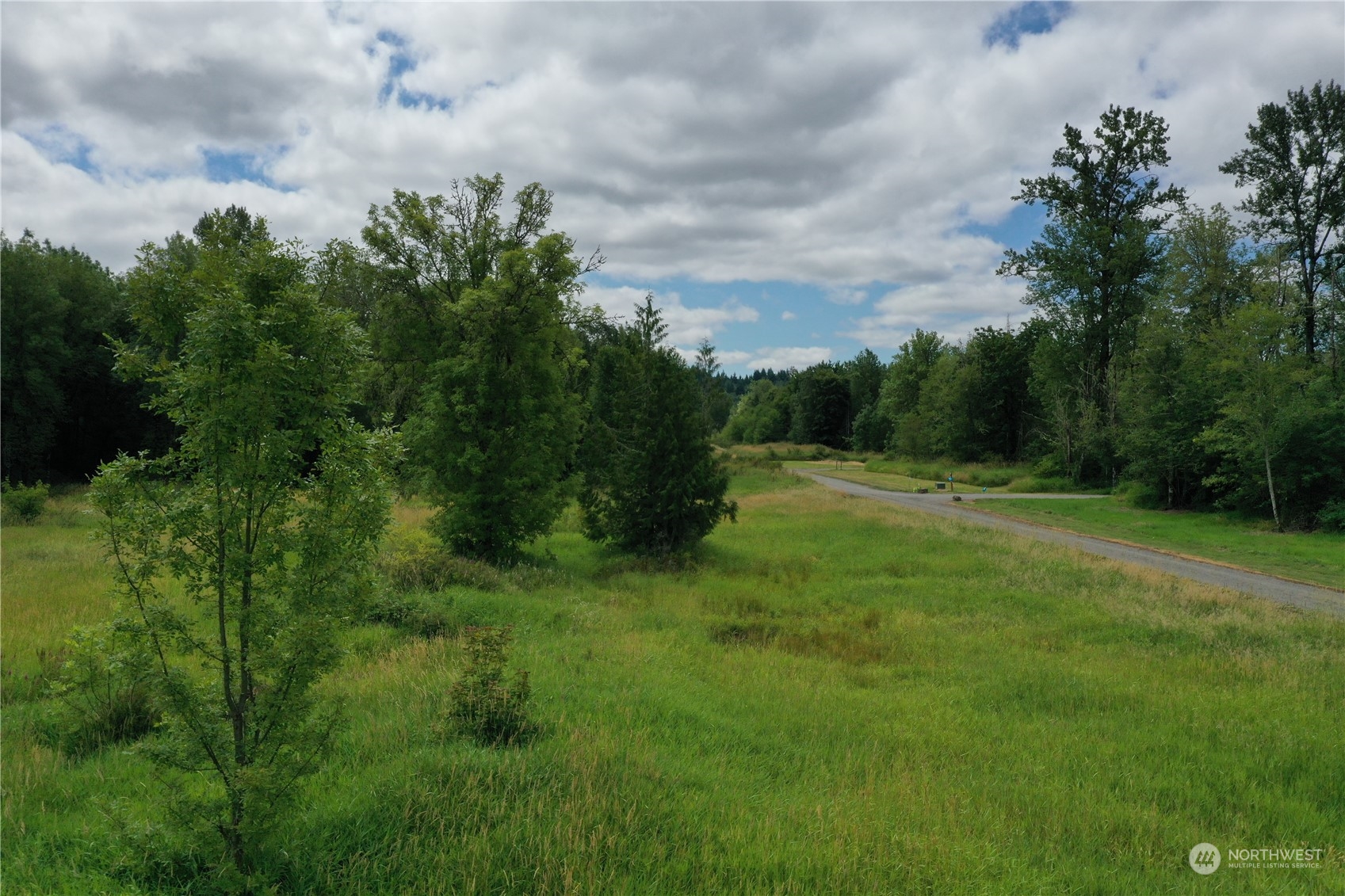 164 Nowhere Road Toledo, WA 98591 - Photo 2 of 11 a big yard with lots of green space