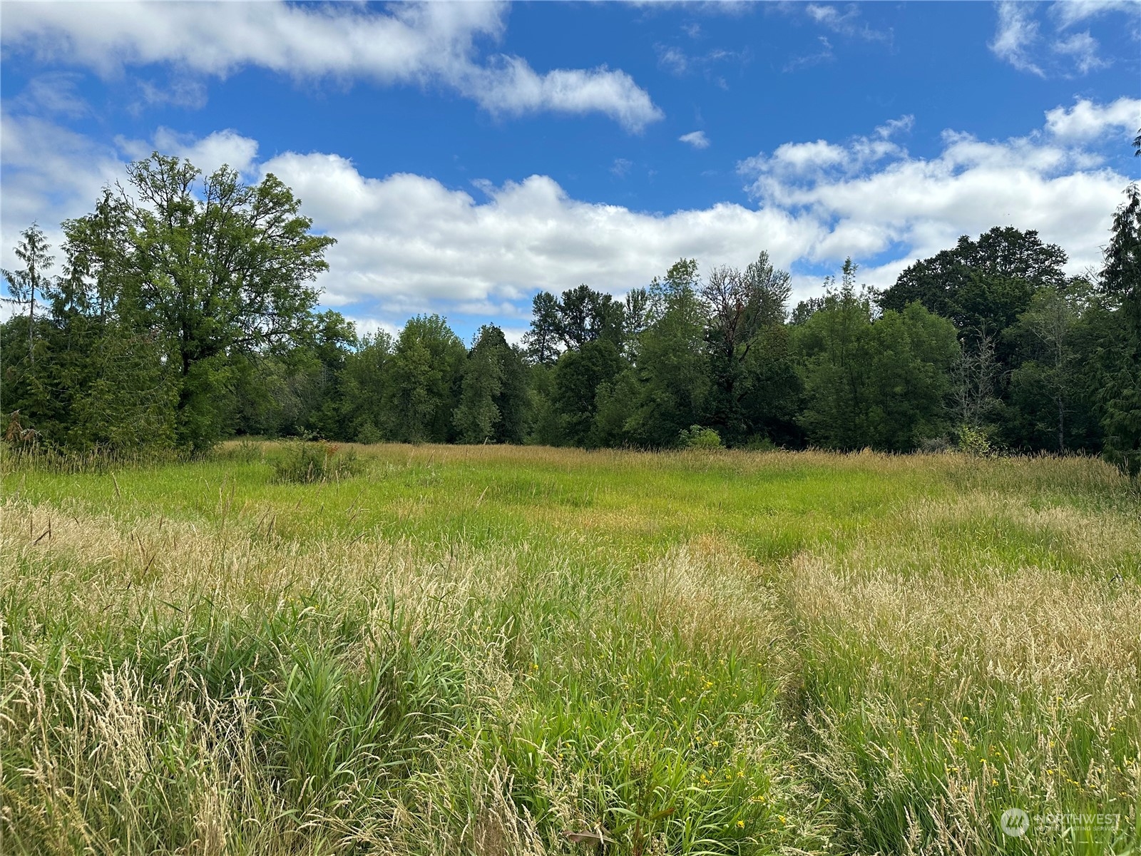 164 Nowhere Road Toledo, WA 98591 - Photo 3 of 11 a view of a field with an outdoor space
