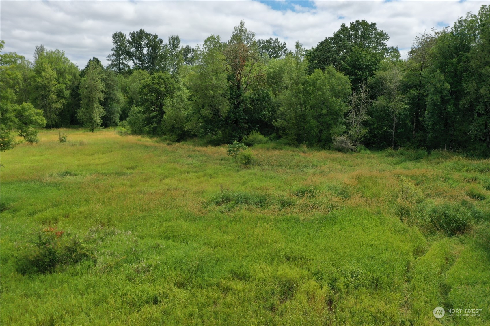 164 Nowhere Road Toledo, WA 98591 - Photo 4 of 11 a big yard with lots of green space and deers