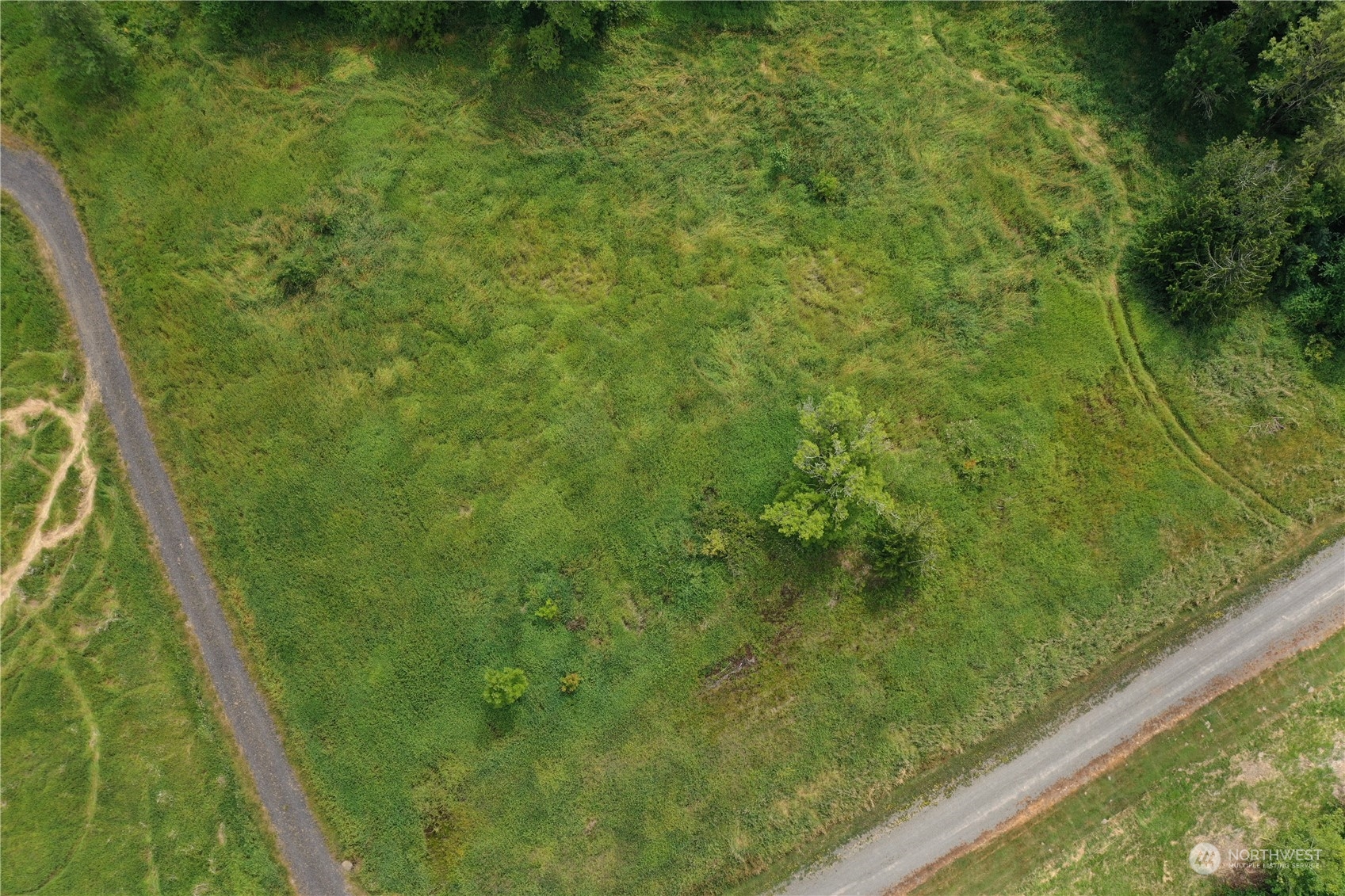 164 Nowhere Road Toledo, WA 98591 - Photo 5 of 11