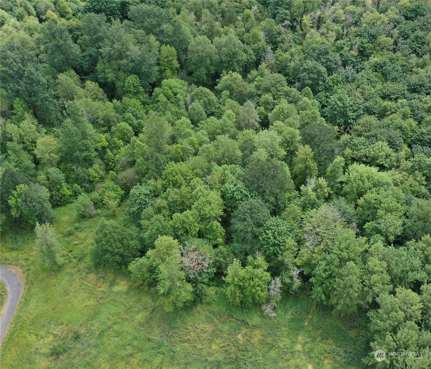 164 Nowhere Road Toledo, WA 98591 - Photo 7 of 11 an aerial view of residential house with outdoor space and trees all around