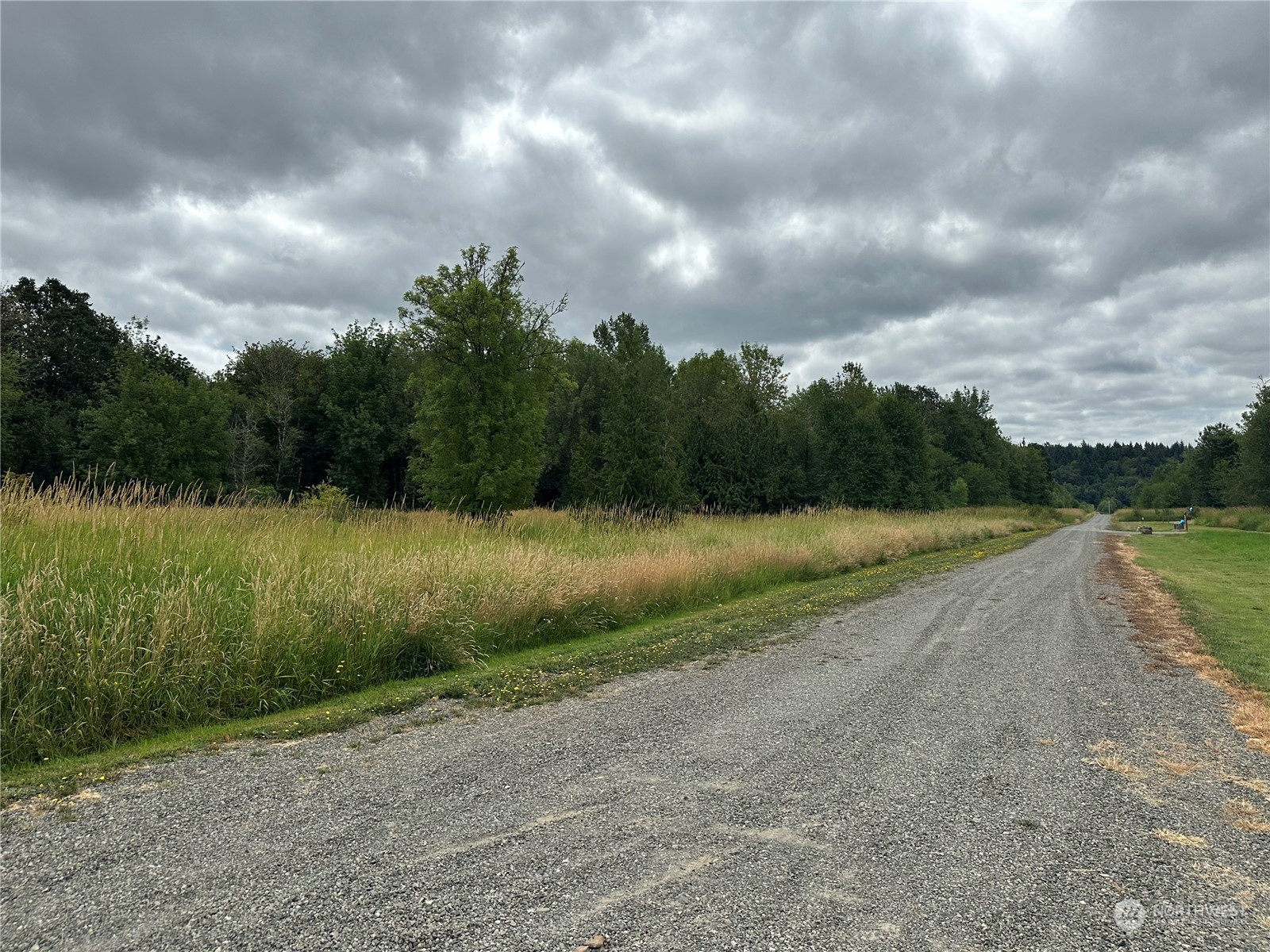 164 Nowhere Road Toledo, WA 98591 - Photo 10 of 11 a view of a lake with a yard