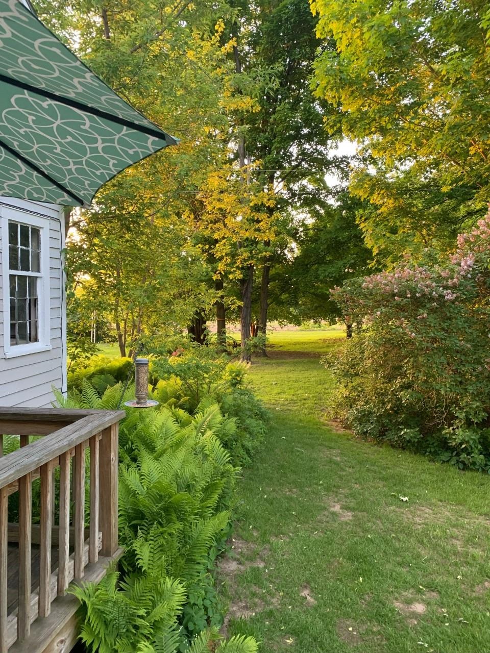 1249 Cady Road Middlebury, VT 05753 - Photo 4 of 21 Gallery Image 4
