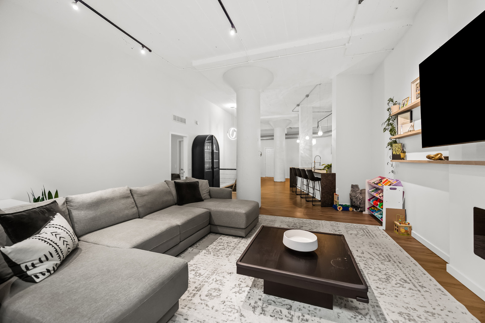 17 North Loomis Street, Unit 1J Chicago, IL 60607 - Photo 8 of 29