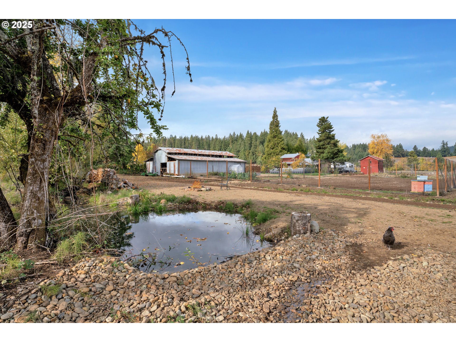 30306 Camas Swale Road Creswell, OR 97426 - Photo 19 of 29