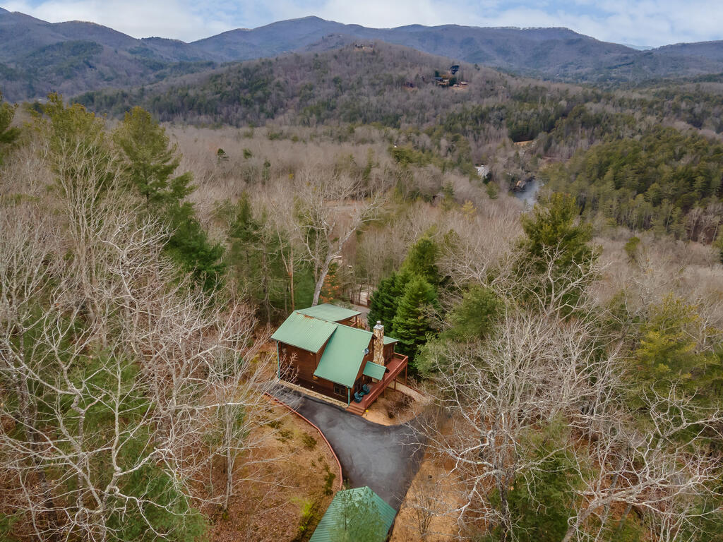 131 Toccoa Overlook Lane Blue Ridge, GA 30513 - Photo 45 of 58 Gallery Image 45