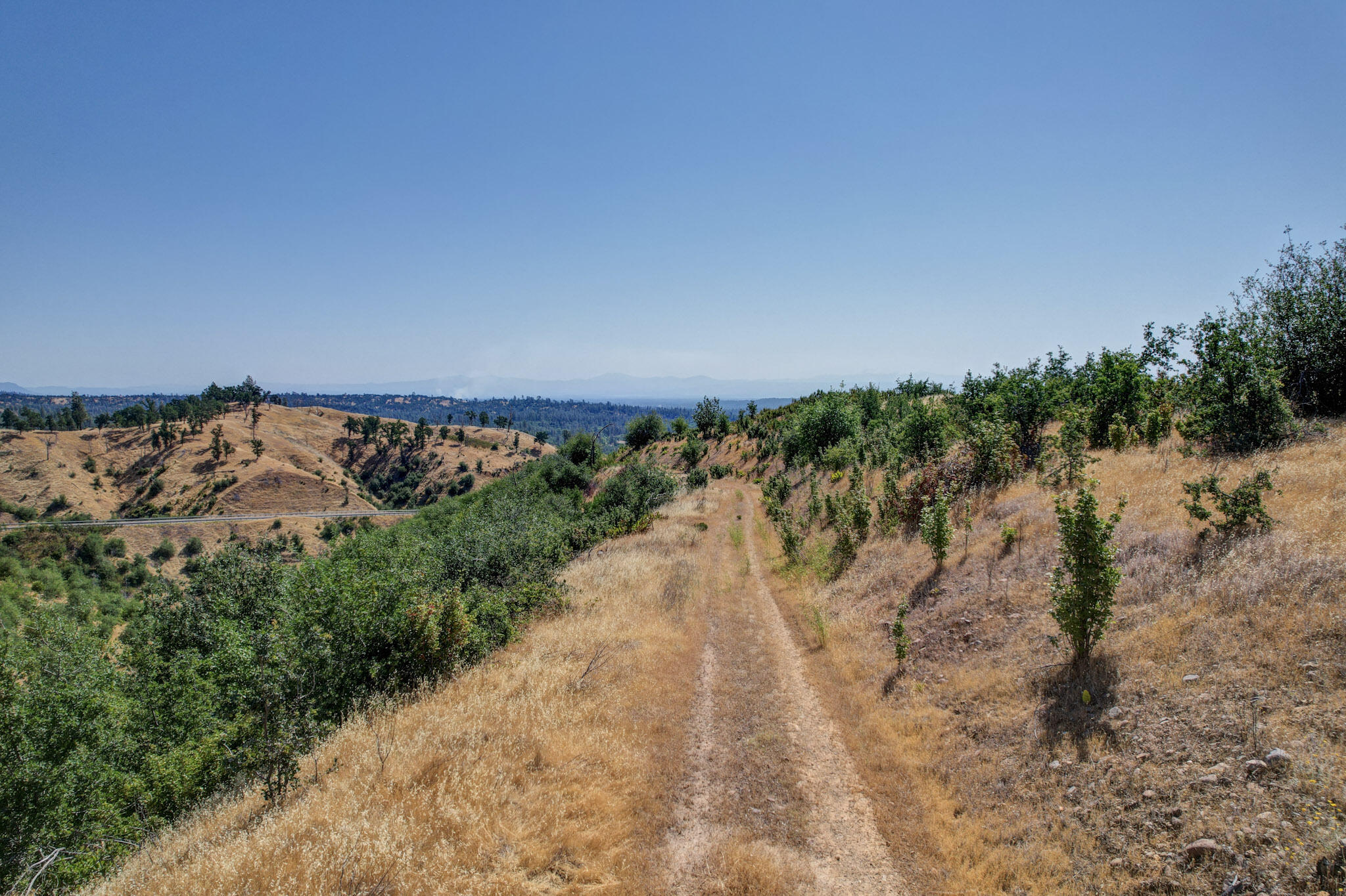Modesta View Anderson, CA 96007 - Photo 9 of 12 a view of a yard with a pathway