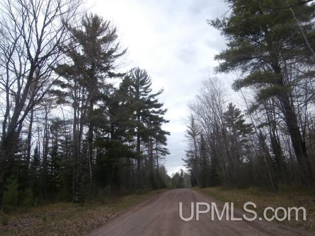 39.30-ac Armstrong Lake Road Crystal Falls, MI 49920 - Photo 9 of 24