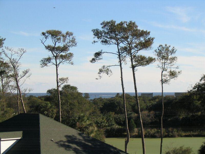 541 Oristo Ridge Edisto Beach, SC 29438 - Photo 17 of 22 Andrew Vazquez - 541OristoRidge18