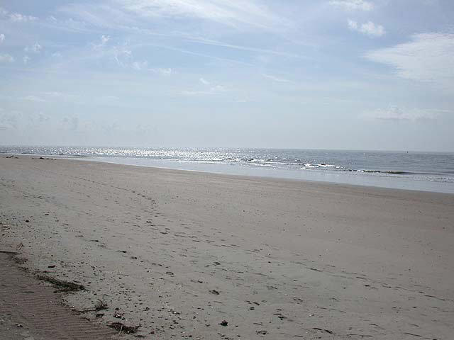 541 Oristo Ridge Edisto Beach, SC 29438 - Photo 19 of 22 Andrew Vazquez - 541OristoRidge20