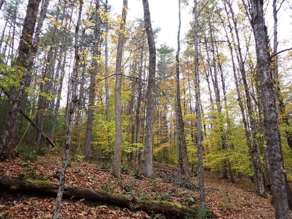 $140,000 | Mine Road, South Strafford, VT 05070