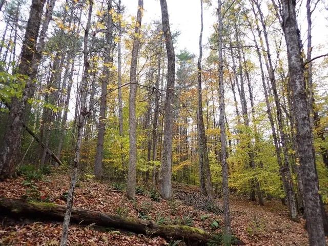 $174,000 | Mine Road, South Strafford, VT 05070