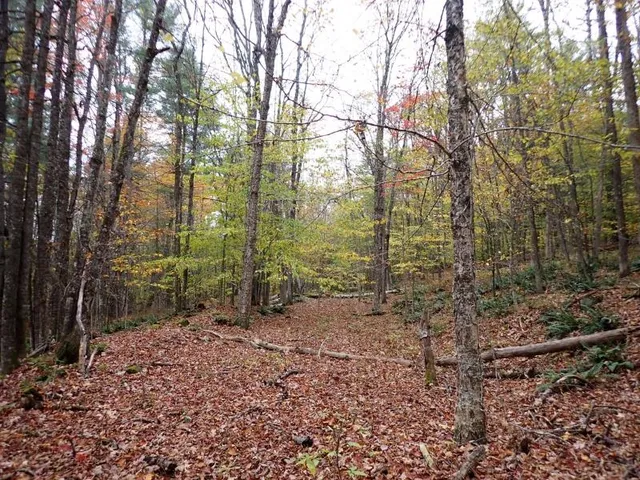 $174,000 | Mine Road, South Strafford, VT 05070