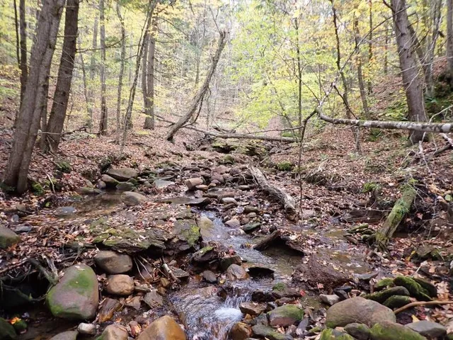 $174,000 | Mine Road, South Strafford, VT 05070