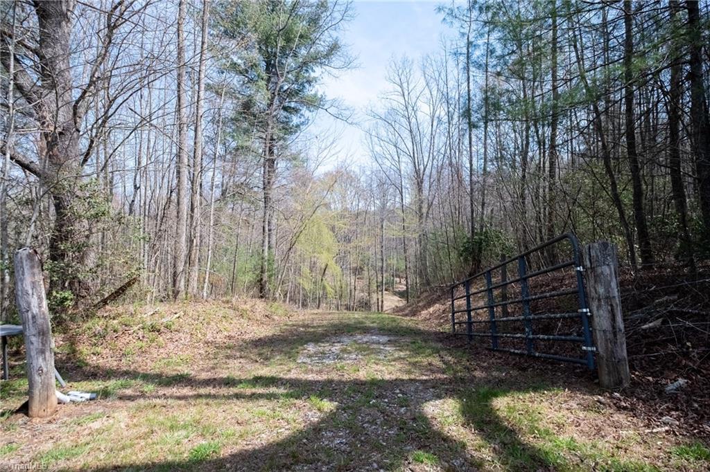 1305 Brim Road Mount Airy, NC 27030 - Photo 2 of 47