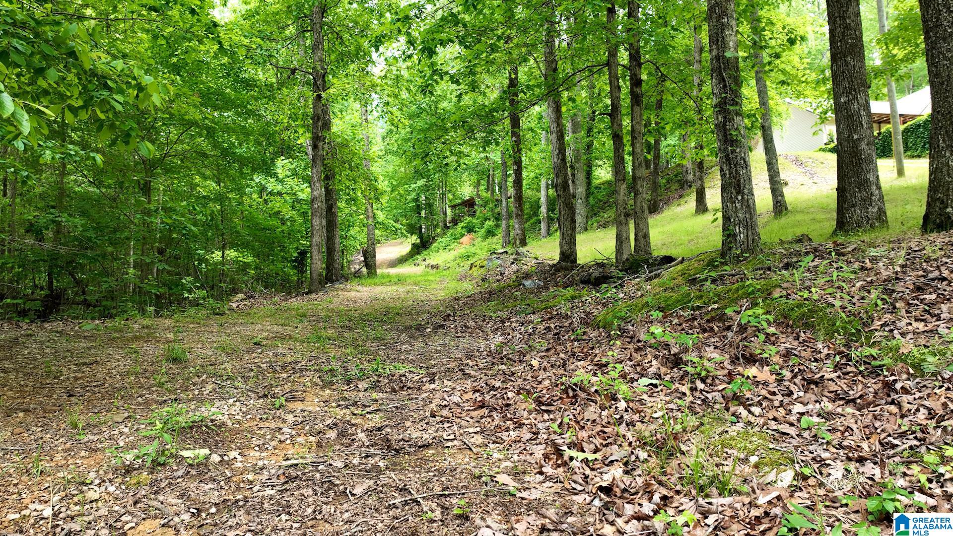 Colvin Springs Road, Unit 6 Ashville, AL 35953 - Photo 1 of 18