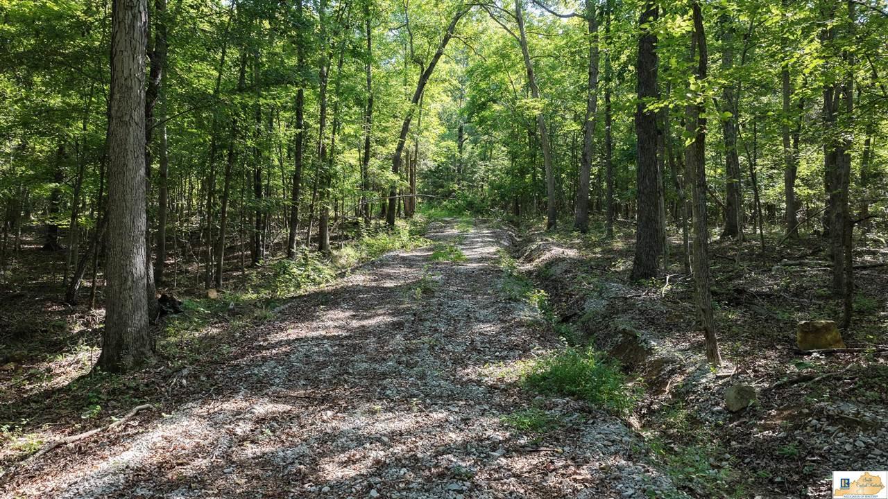 13474 Grayson Springs Road Clarkson, KY 42726 - Photo 8 of 36 Gallery Image 8